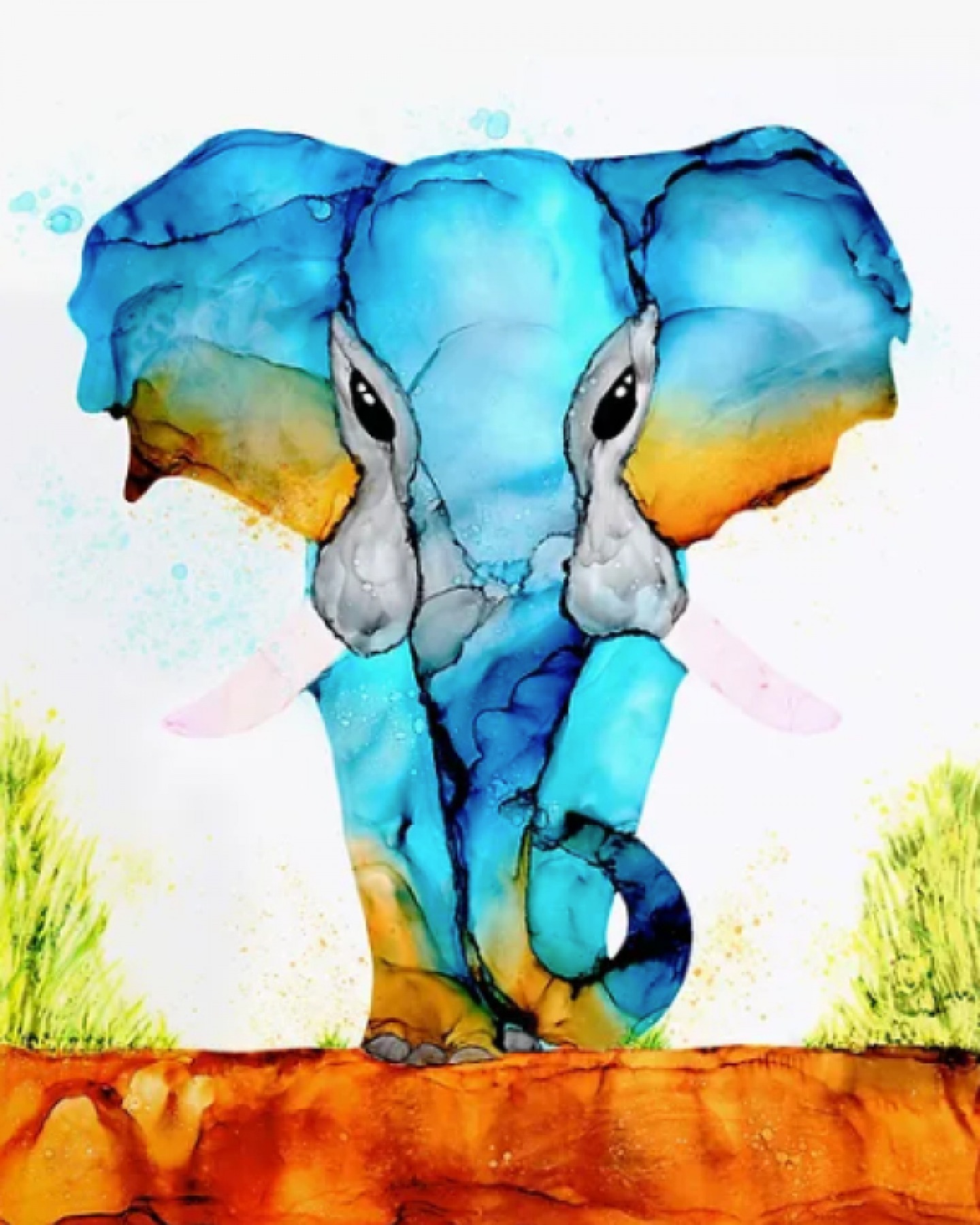 Colourful elephant