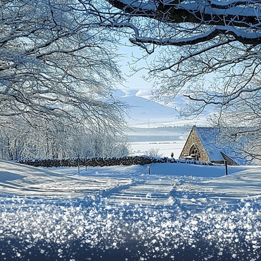 snowy landscape