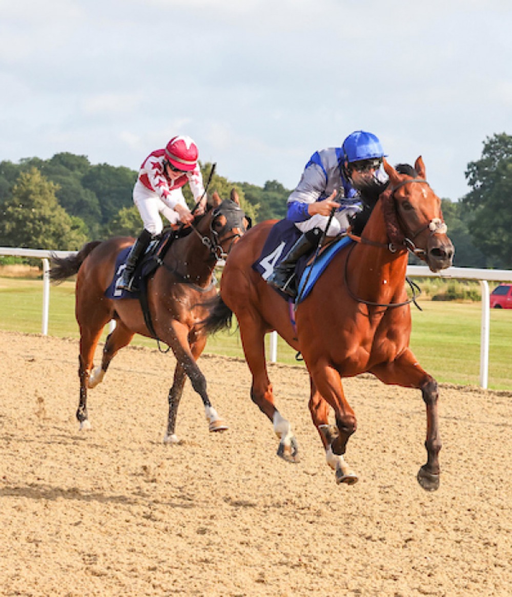 Horses Racing