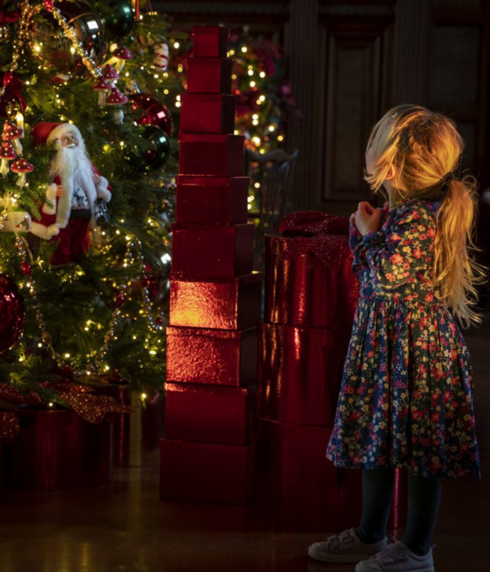 Child looking up at a Christmas tree