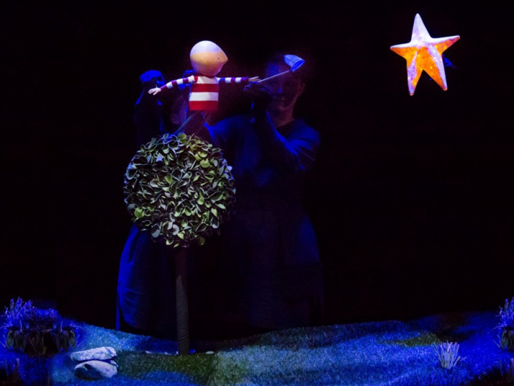 How To Catch A Star Puppet show