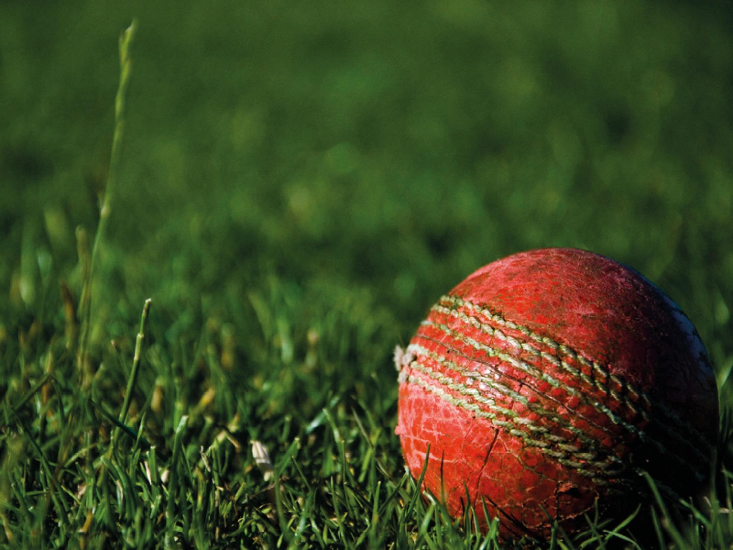 Cricket Ball in grass