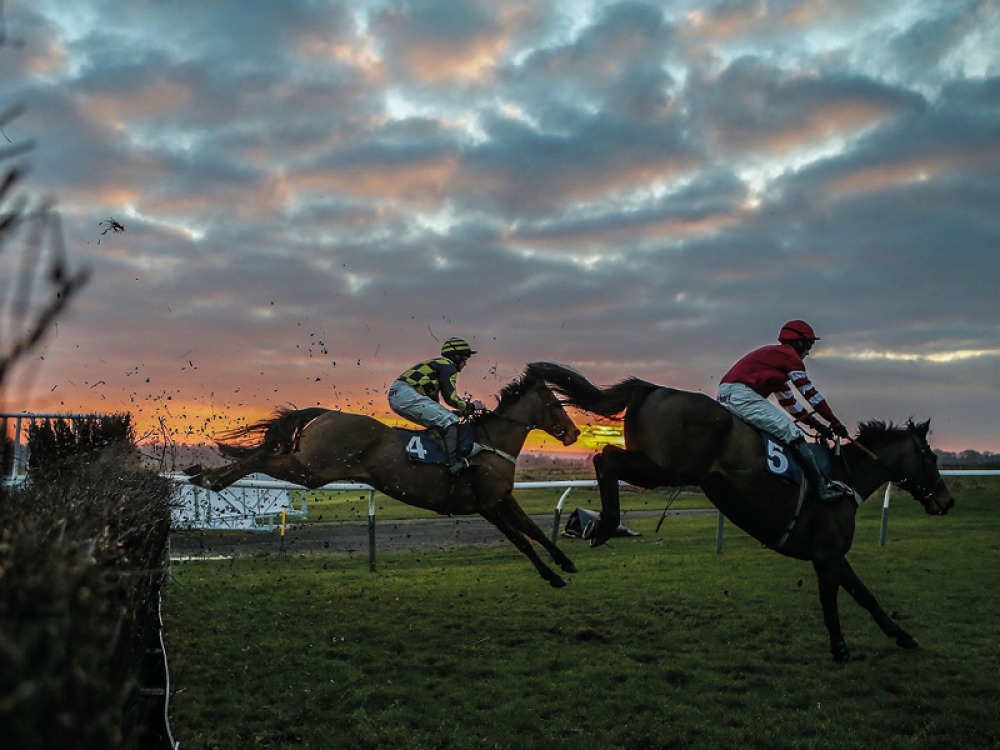 Horses and jockeys racing at sunset