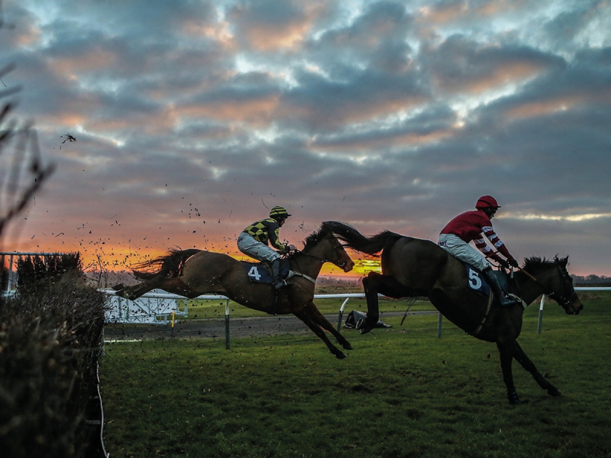 Horse Racing East Rutherford February's Football, Basketball, Horse Racing and Rugby Union North ...