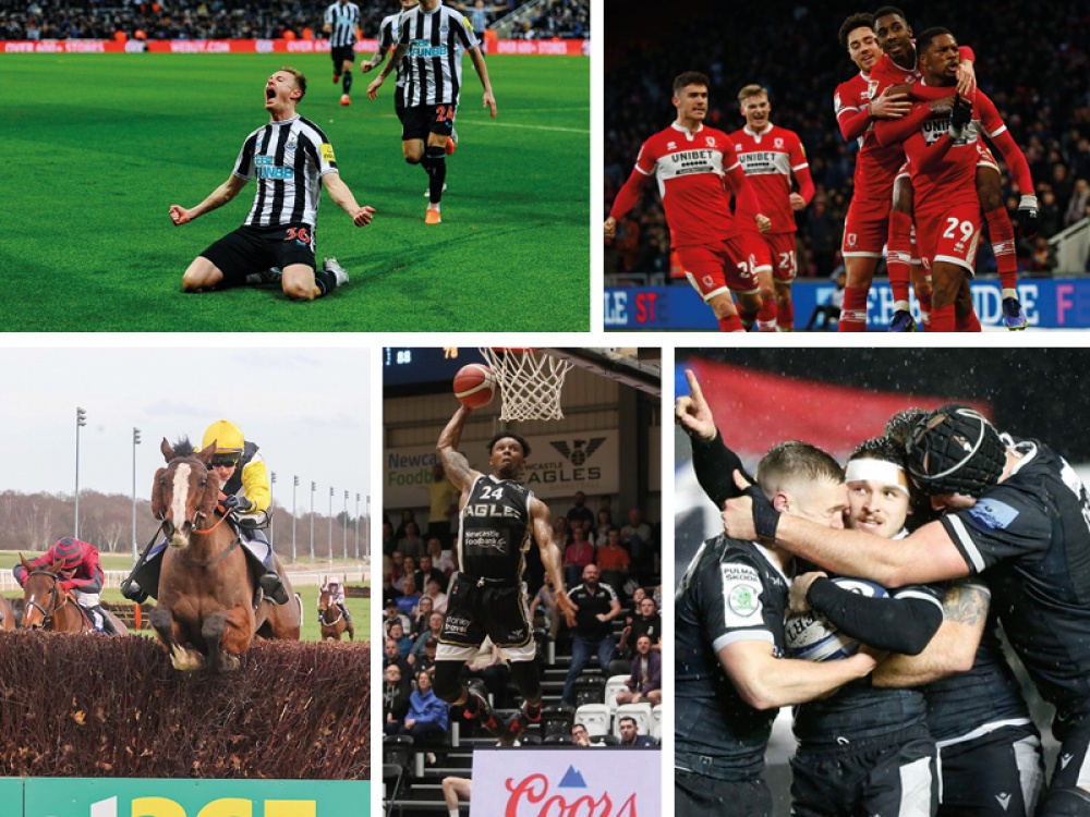 Collage of featured images