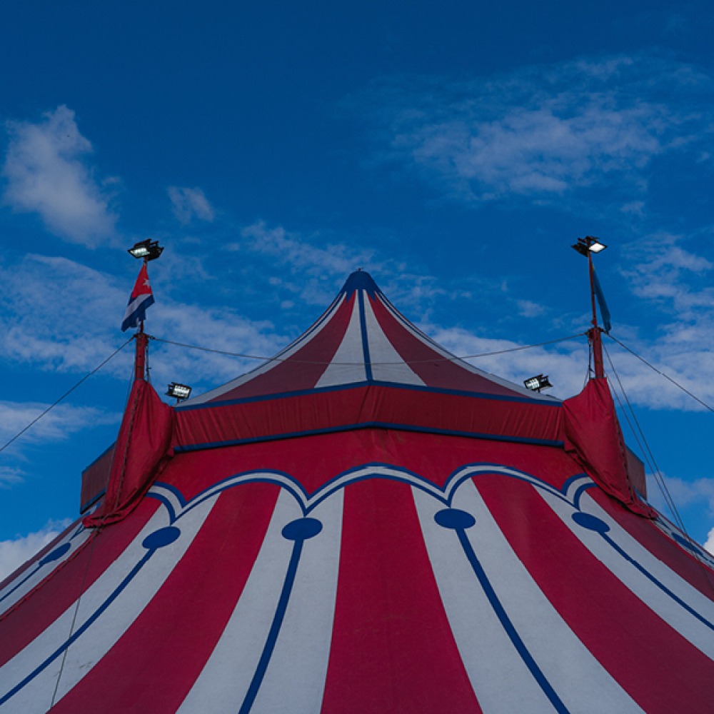 Cirque