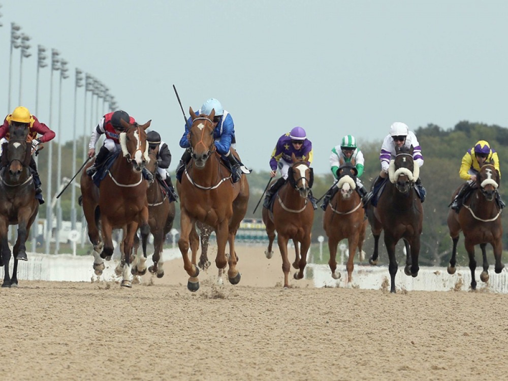 Newcastle Racecourse