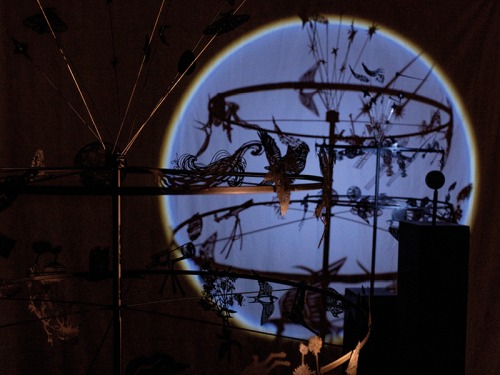 Northumberland's International Dark Skies Park Celebrates its 10th Anniversary