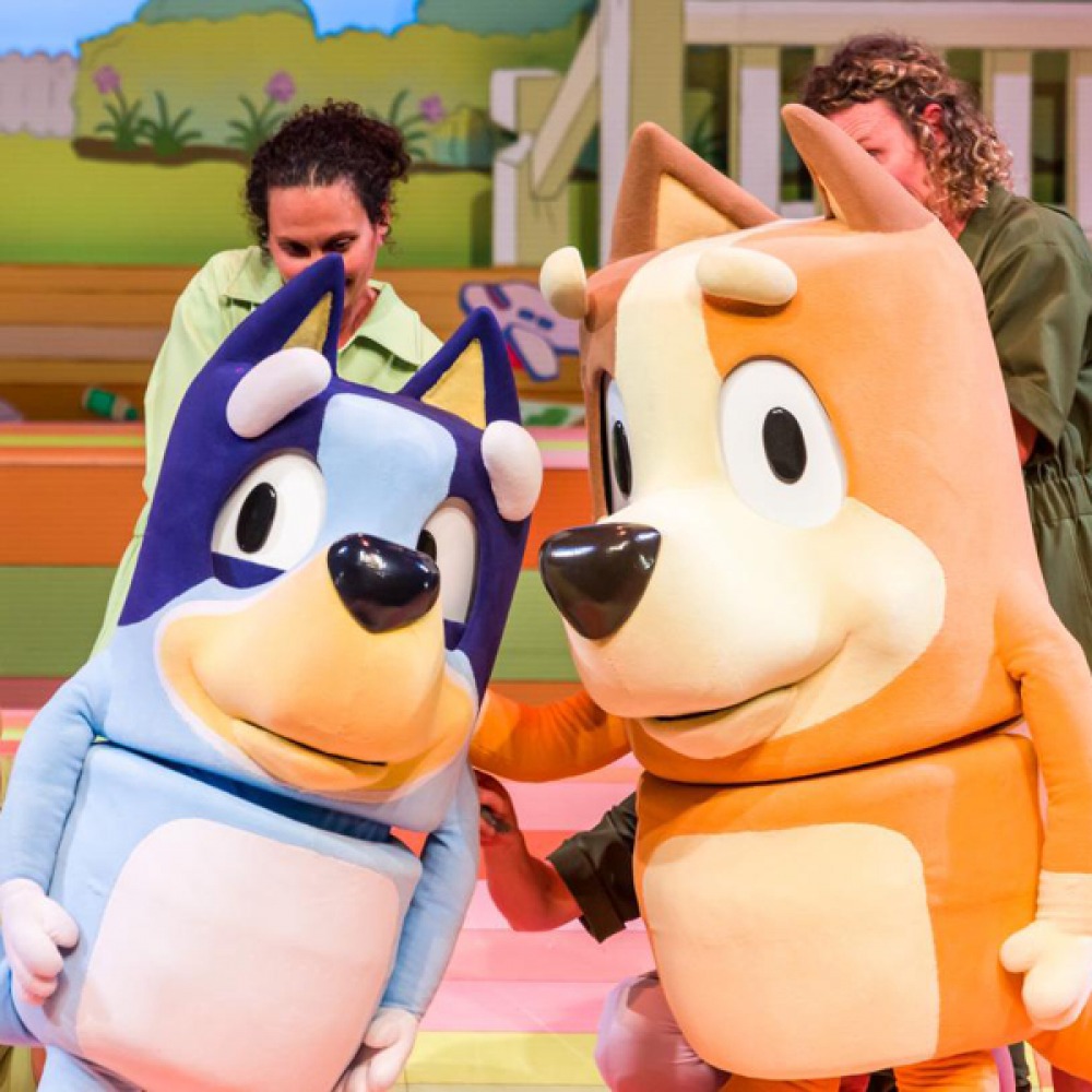 Bluey’s Big Play
