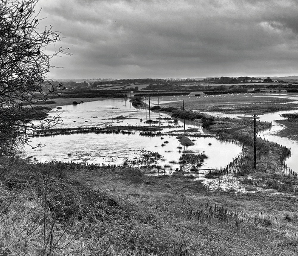 Northumberland Flood Plain, Autumn 2023 Jim Donnelly