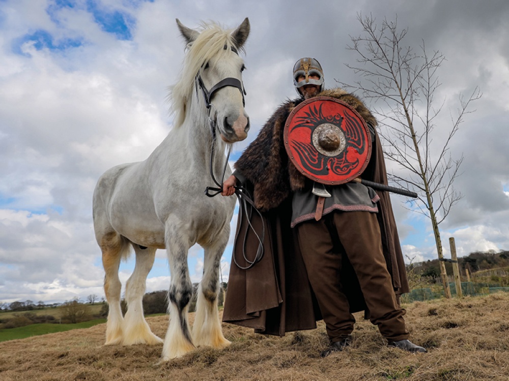 Meet Kynren's Newest Star Performer, Cosmo The Shire Horse