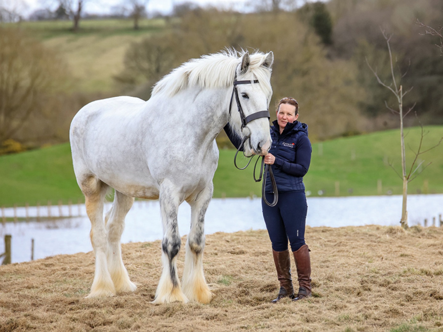 The majestic Cosmo, an at-risk horse who is the newest cast member at Kynren alongside Laurie Robinson, director of cavalry and estates