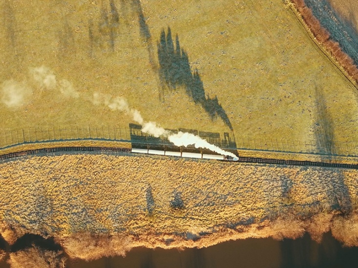 All Aboard! Why Families Will Love This Special Train Ride at Heatherslaw Light Railway