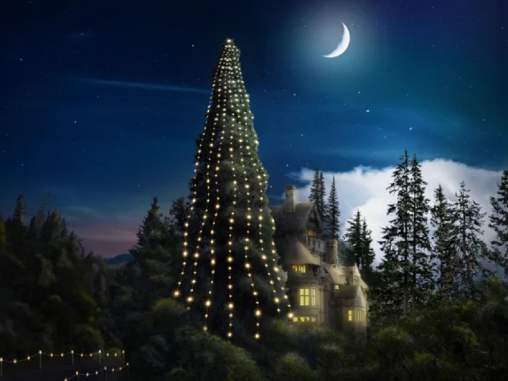 Christmas at Cragside: Spirits of the Forest