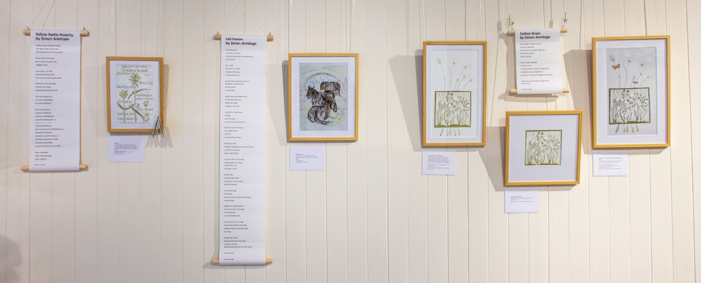 Scrolls, maps and images hanging in line on a wall