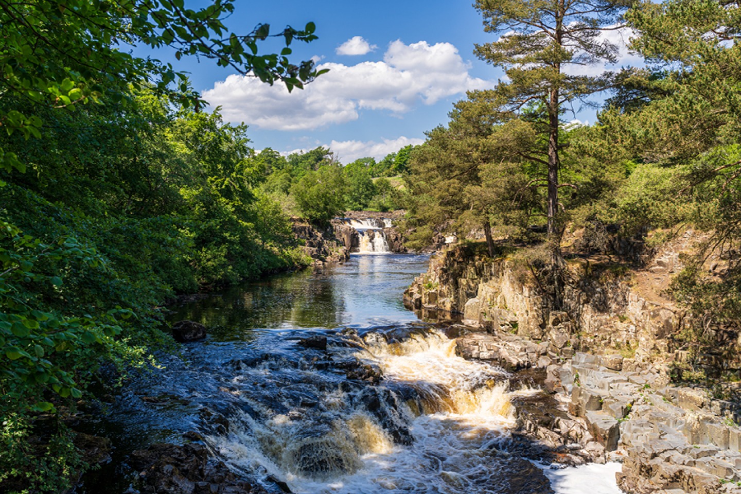 Low Force