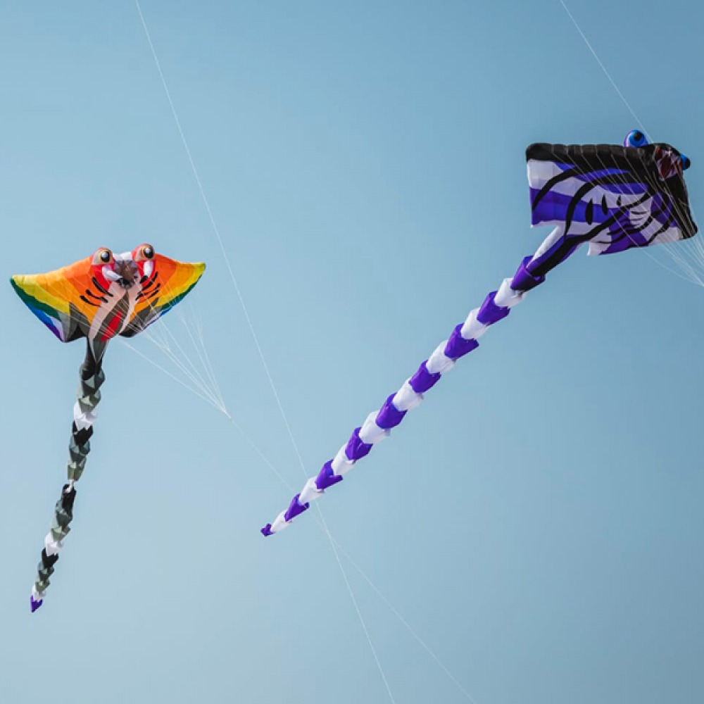 Bridlington Kite Festival