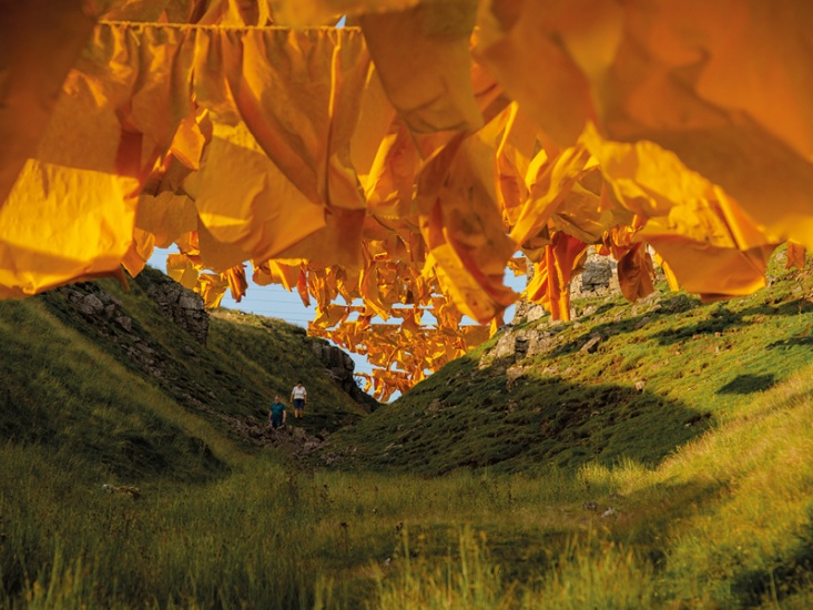 These Amazing Sculptures are Made By a County Durham Artist