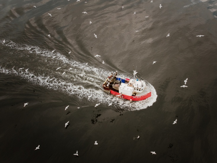 Discover a Decade of Fishing on the North Shields Fish Quay