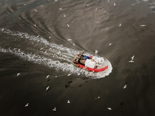 Discover a Decade of Fishing on the North Shields Fish Quay