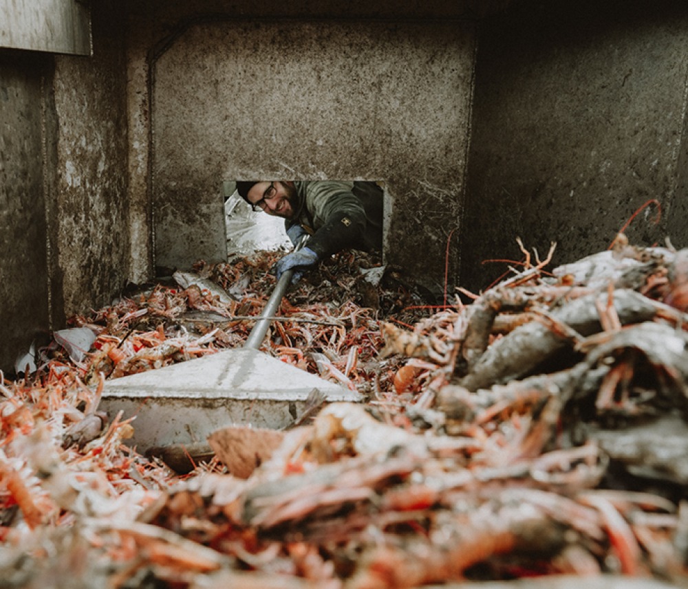 Fisherman scraping the shellfish through small shaft