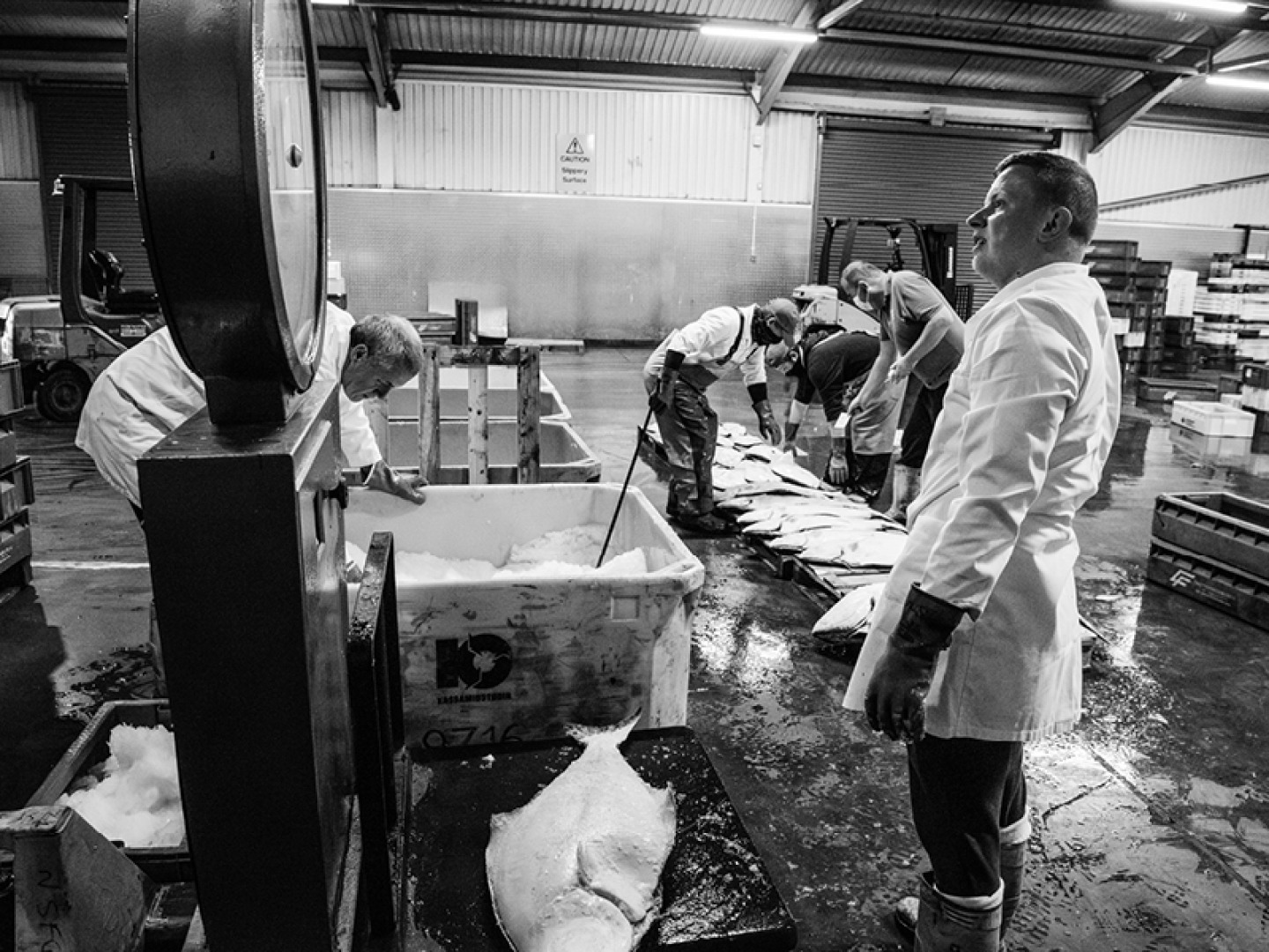 black and white image of a men sorting and weighing their catch