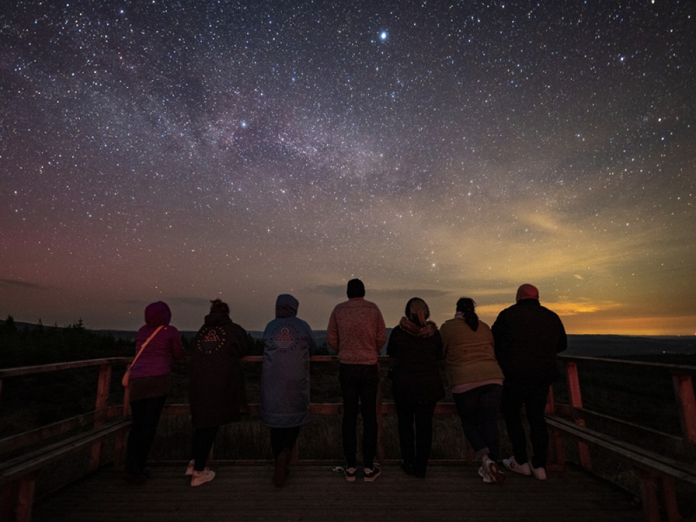 Late Night Discovery