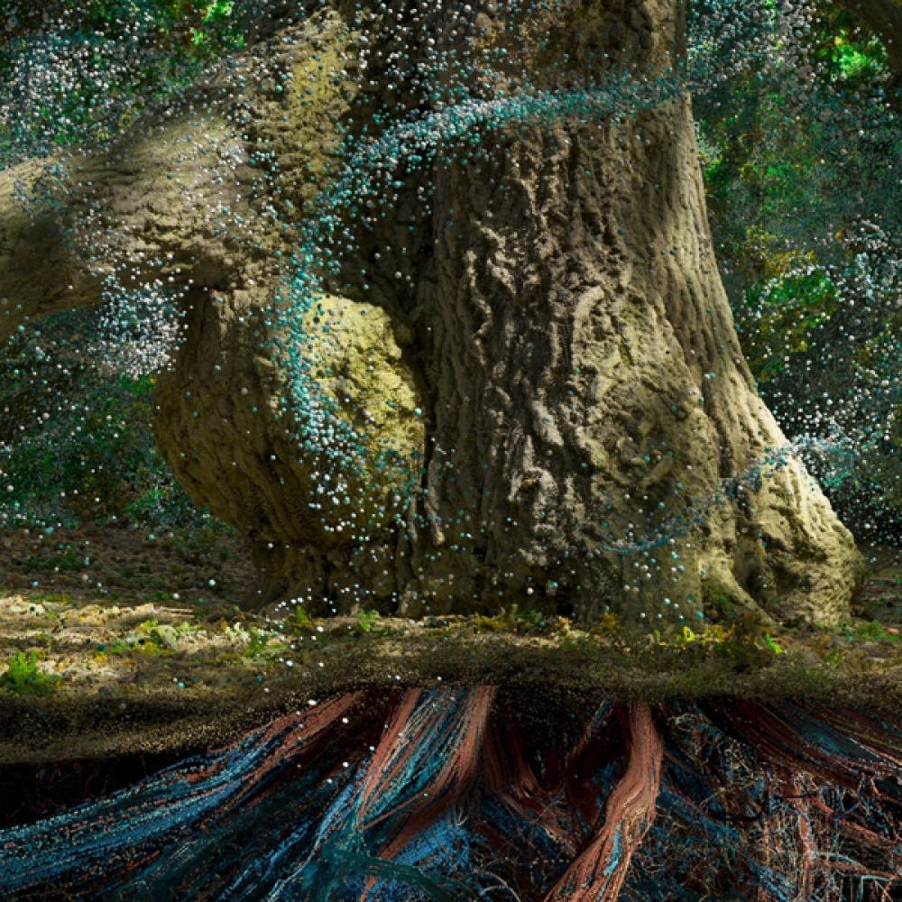 Marshmallow Laser Feast: Of the Oak