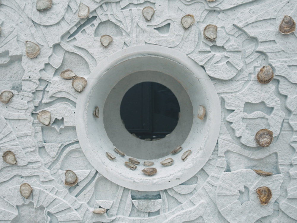 How Wild Oysters are Making a Comeback in the North East