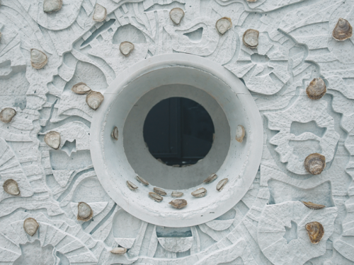 How Wild Oysters are Making a Comeback in the North East