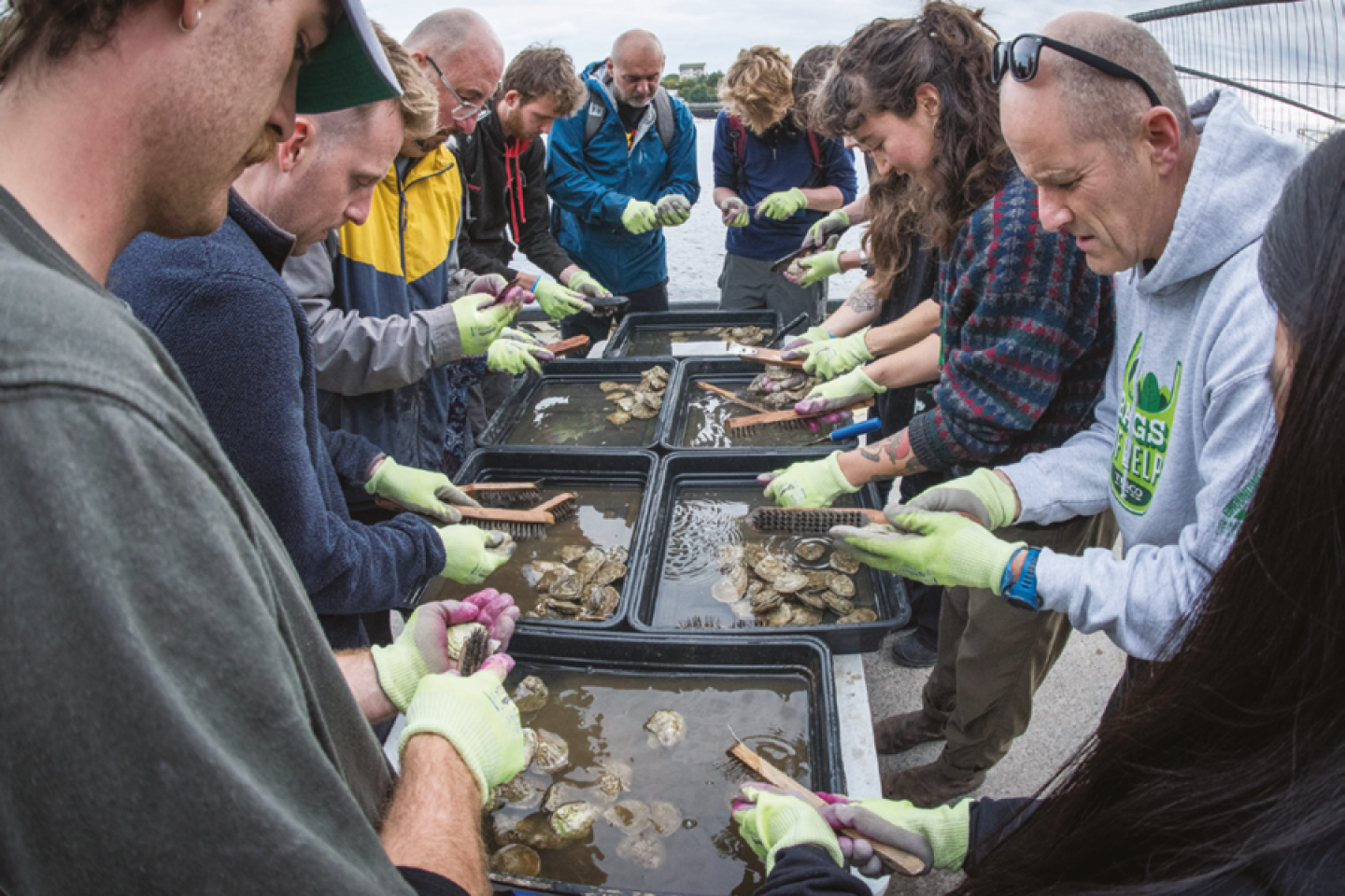 Gilbert Johnston, Stronger Shores Project