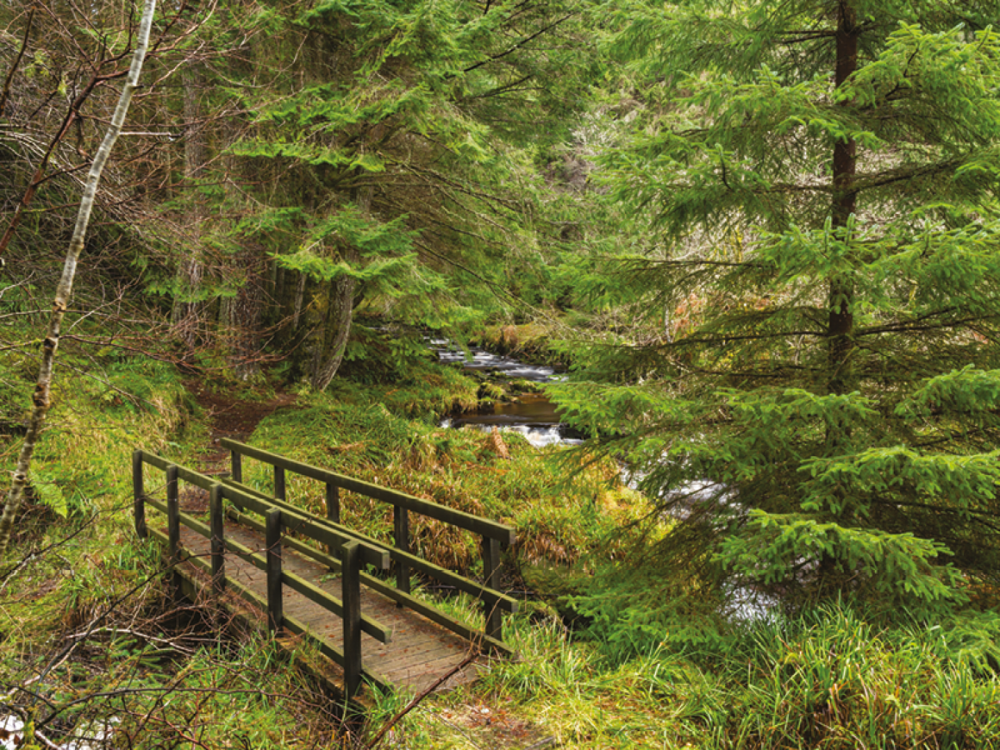 Hindhope Linn