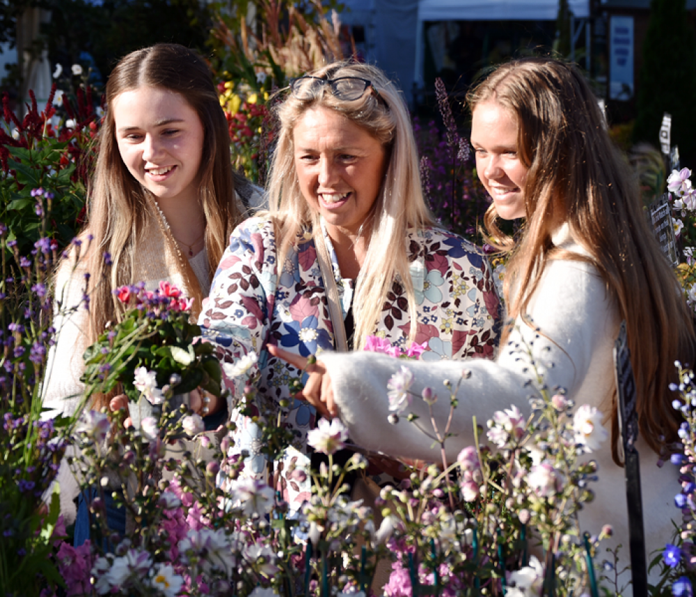 Harrogate Autumn Flower Show