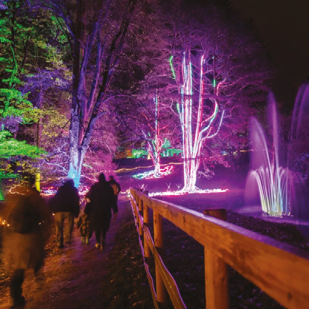 AGLOW