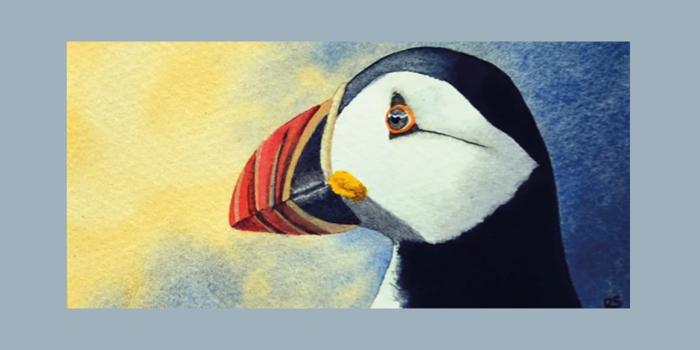 A Farne Islands Puffin original watercolour painting