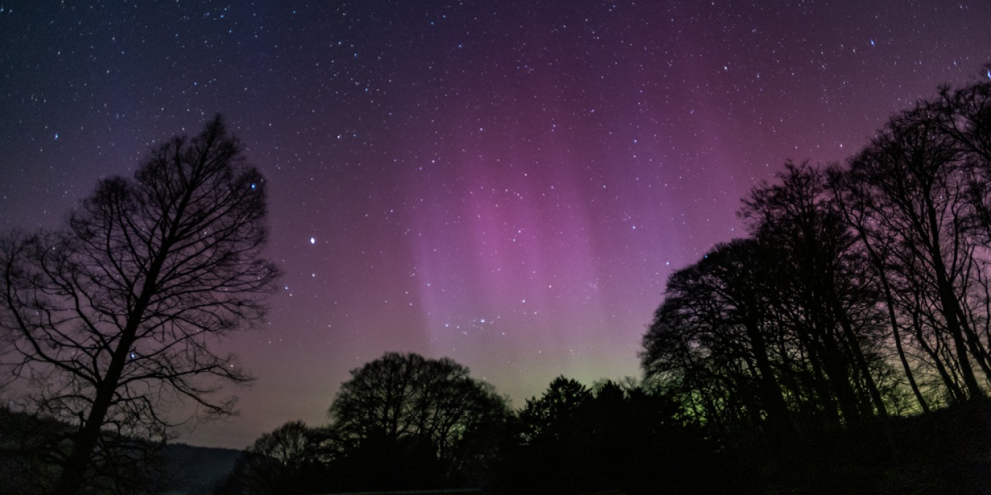 image courtesy of Gary Fildes