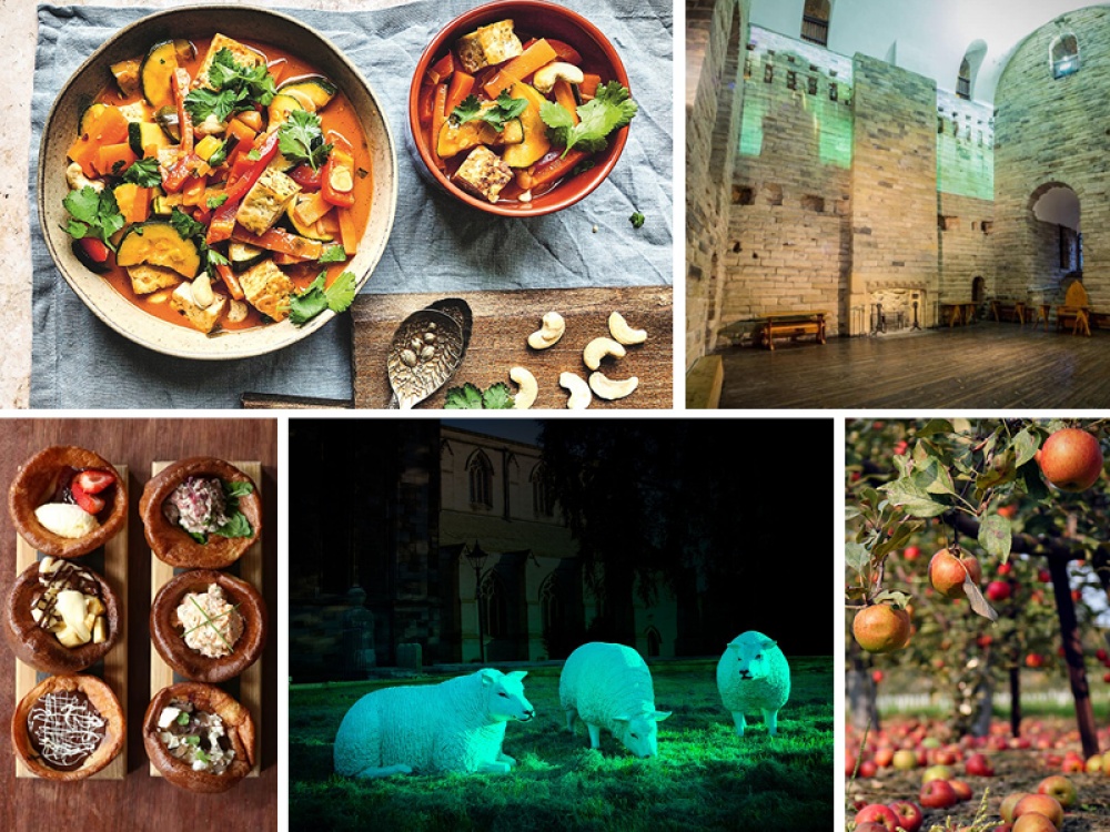 collage of images featured in article
