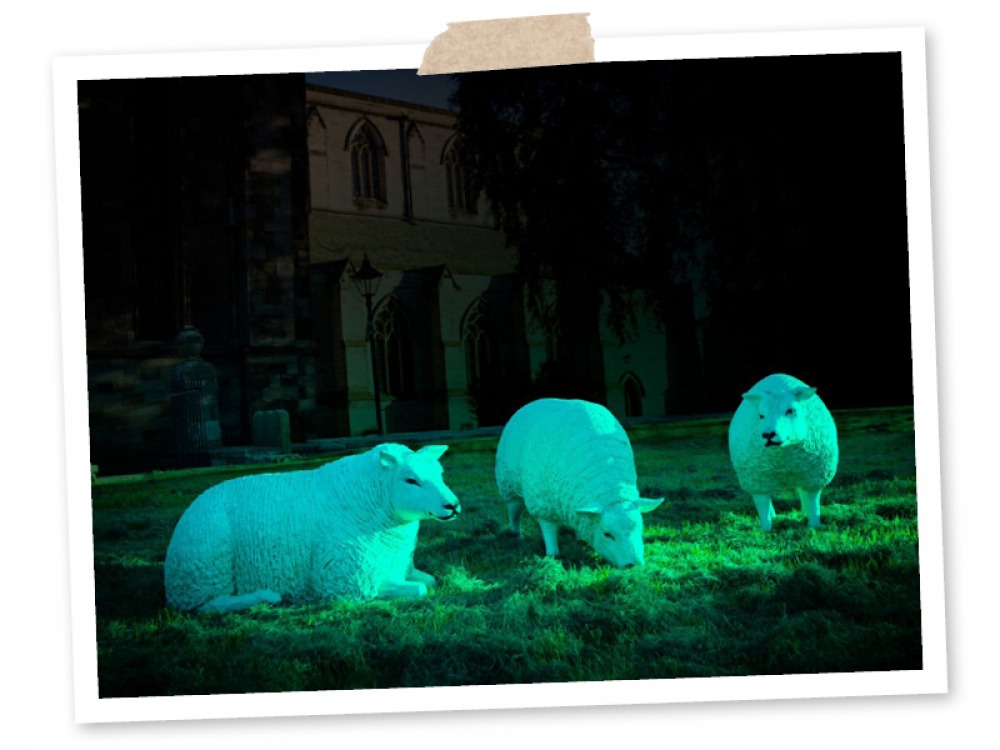Illuminated Sheep at Bamburgh Castle