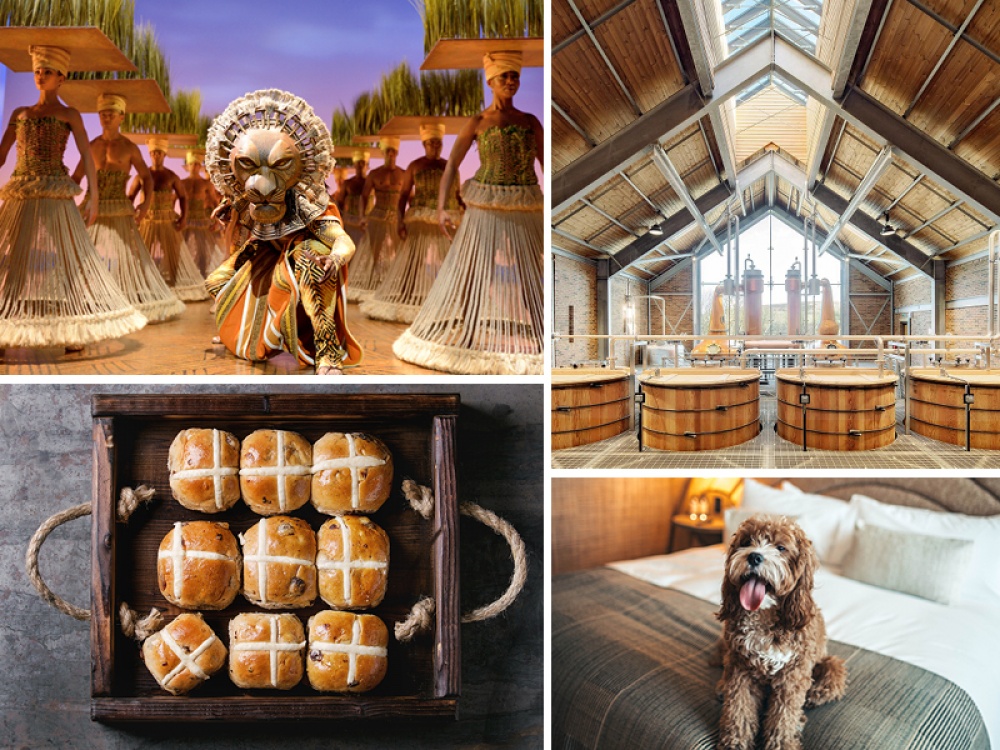 collage of images