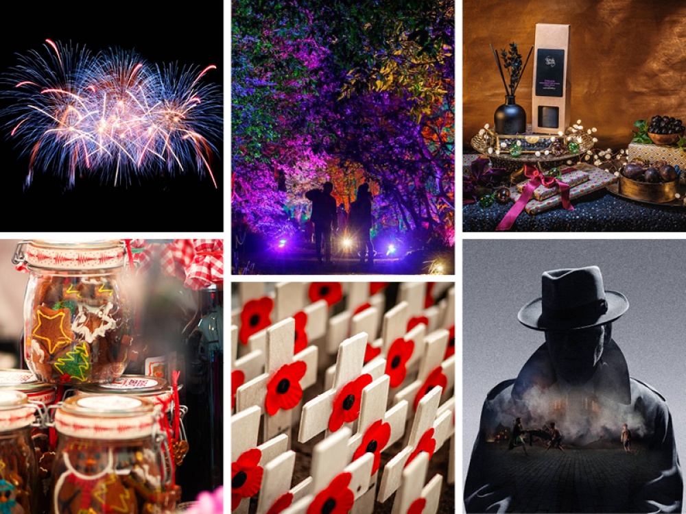 collage of images