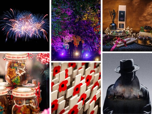 How to Make the Most of November