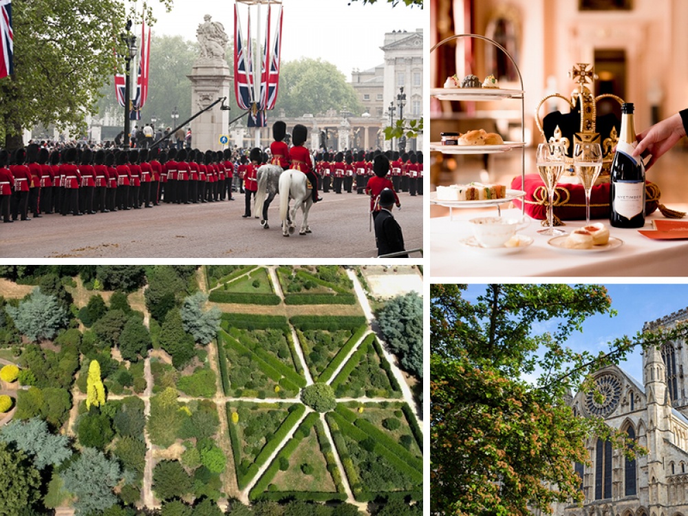 collage of images