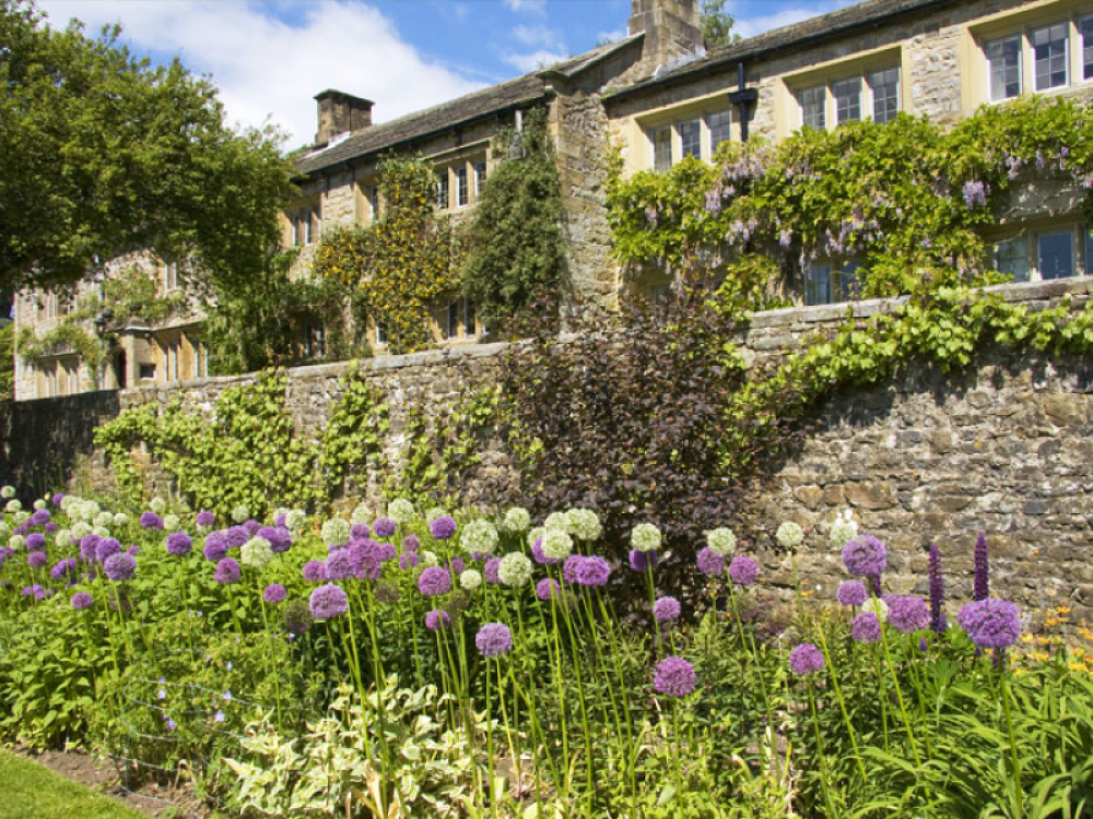 Manor House gardens with purple and white flowers