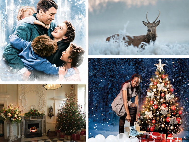 All The Best Ways to Spend Your Weekend