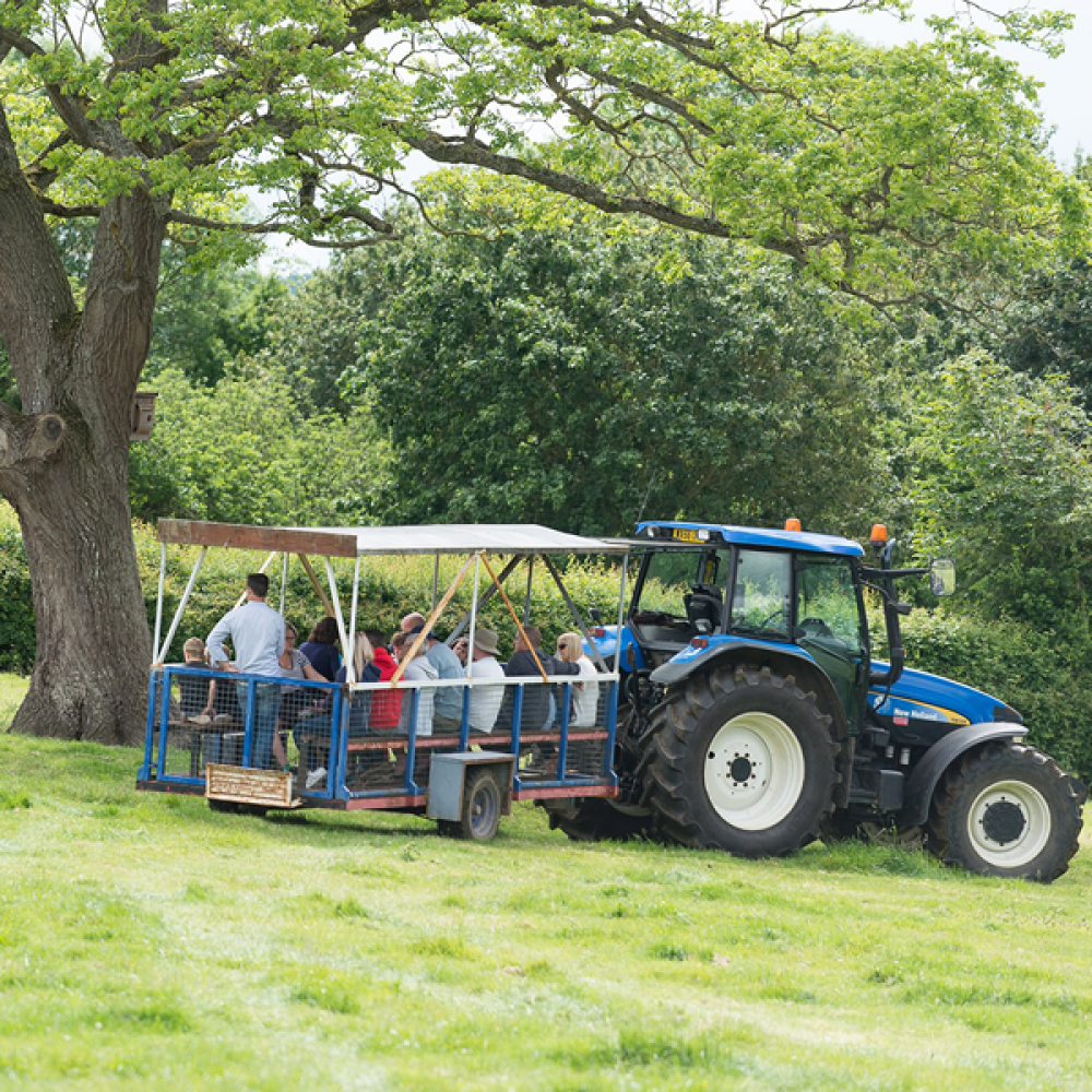 tractor and trailer with people having a farm tour