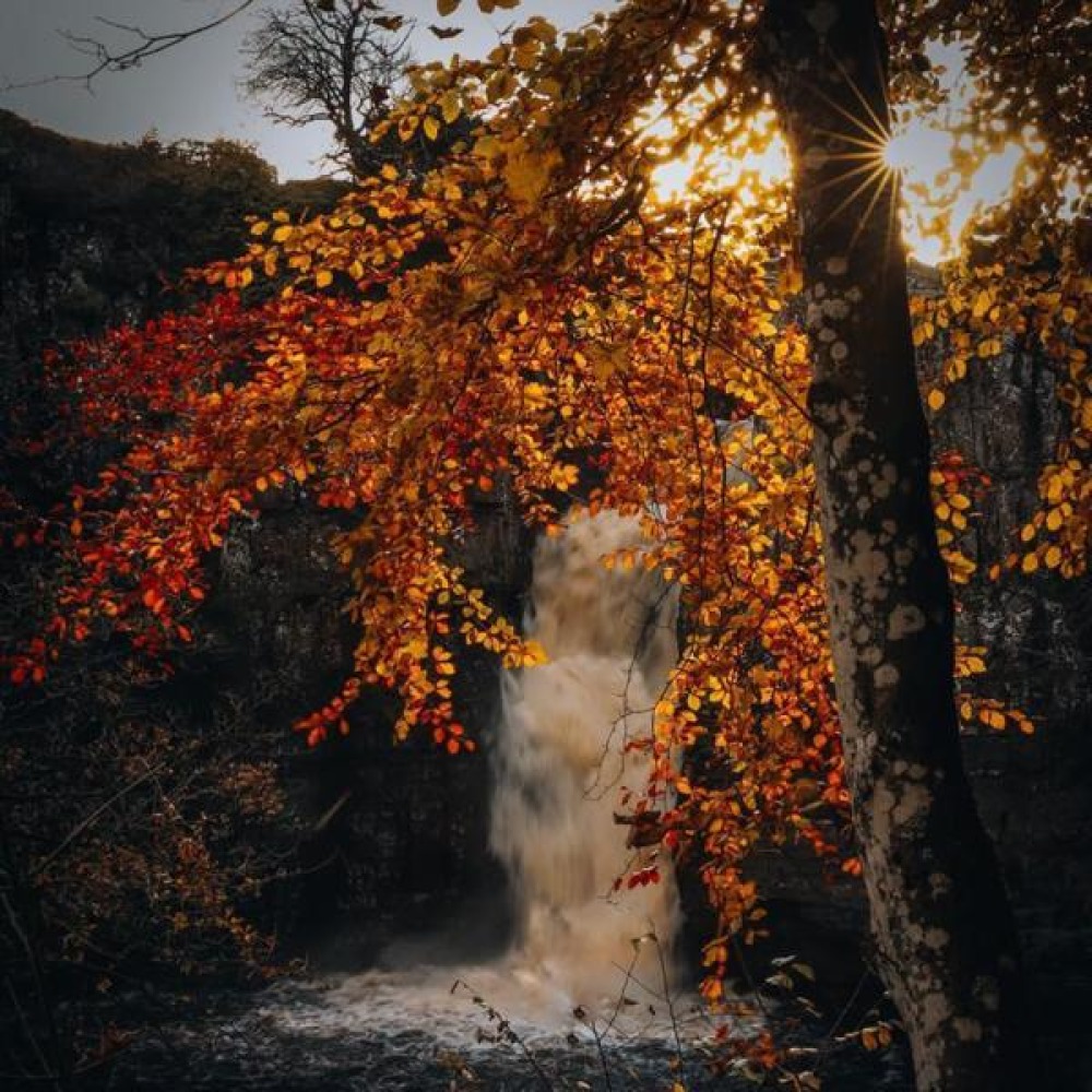 High Force