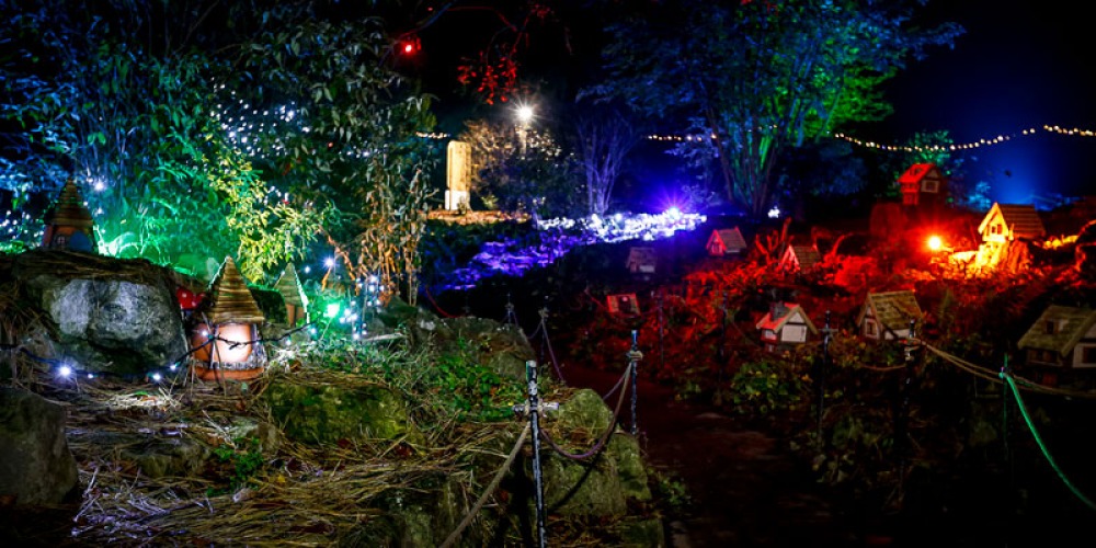 Christmas experience at Lotherton Hall