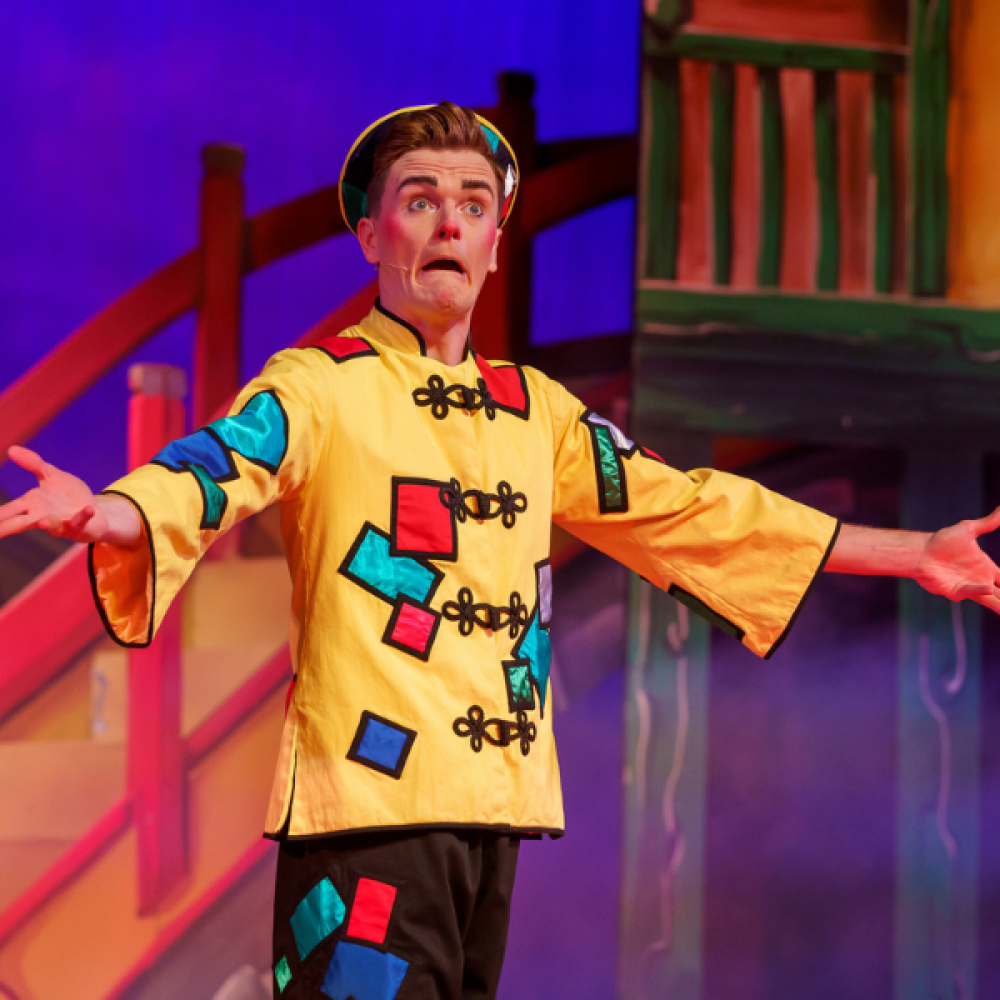 Wishee Washee, Aladdin, Sunderland Empire