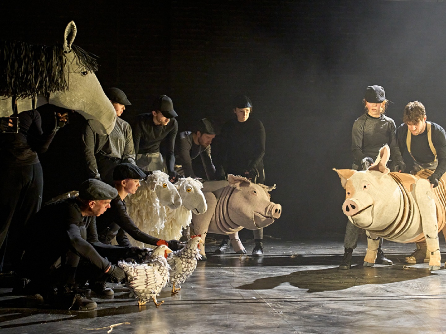 The Cast of Animal Farm. All images Manuel Harlen