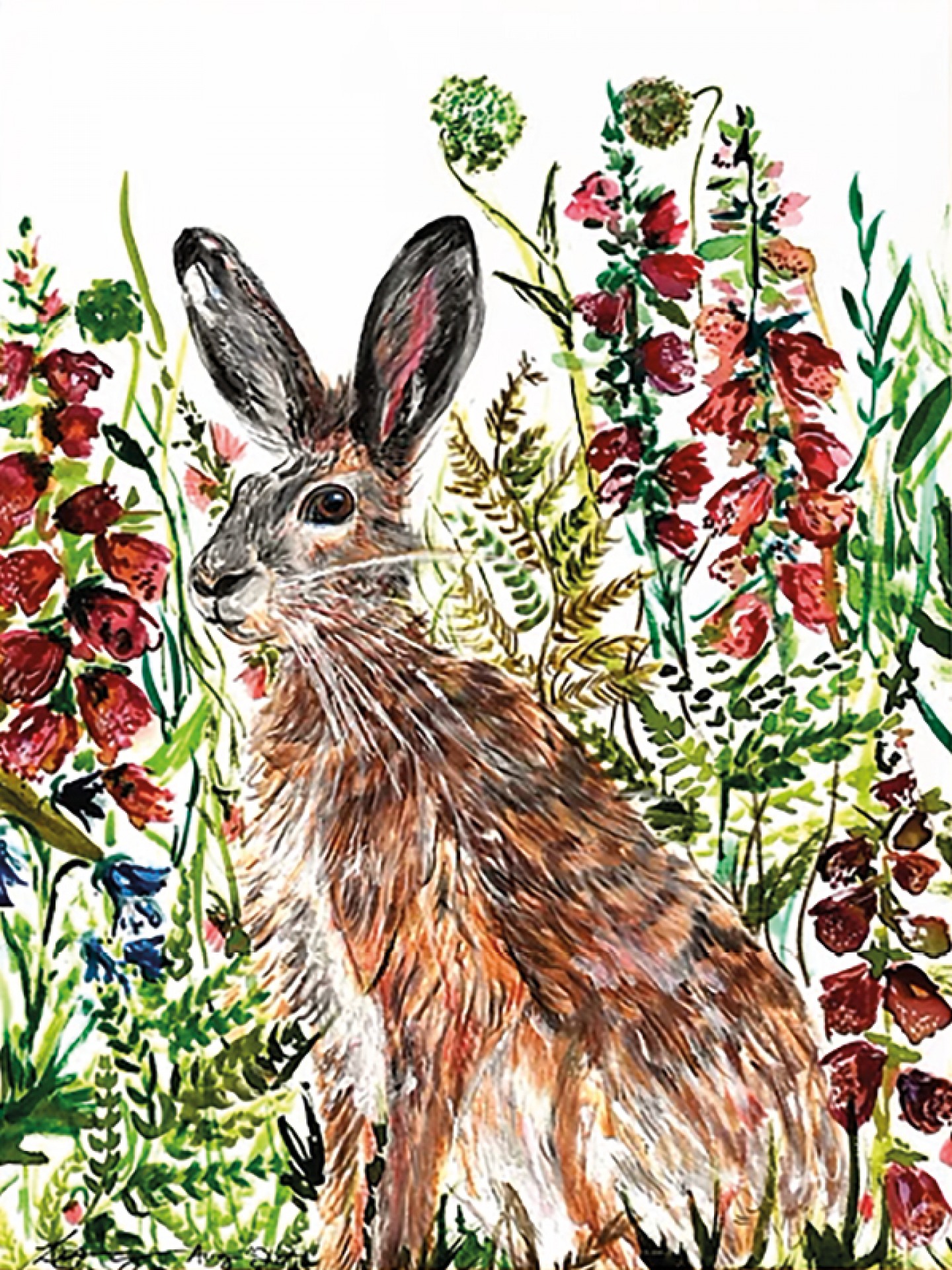 laurenyoungillustration.com